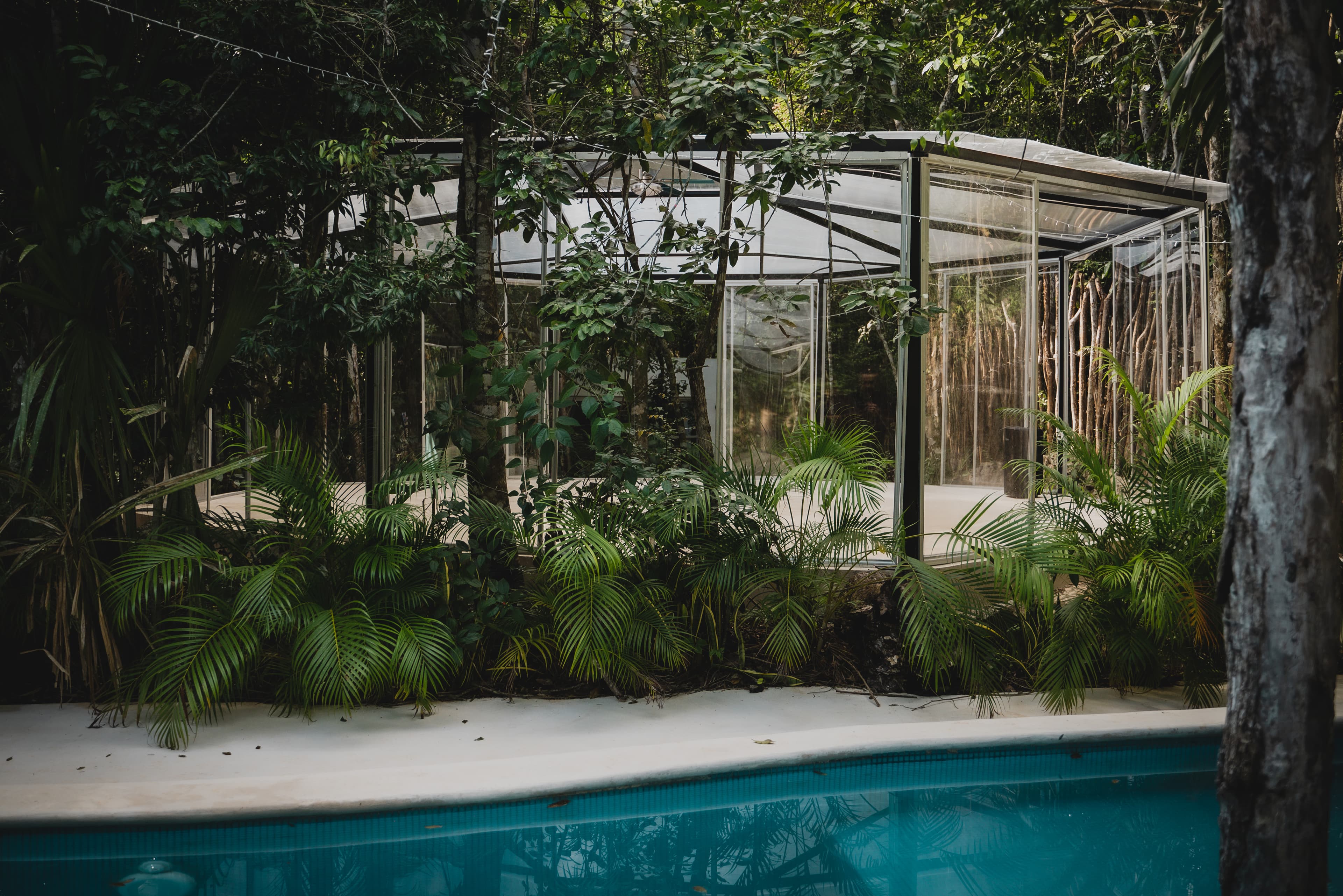 Lunita Jungle Retreat Centre - Image 10