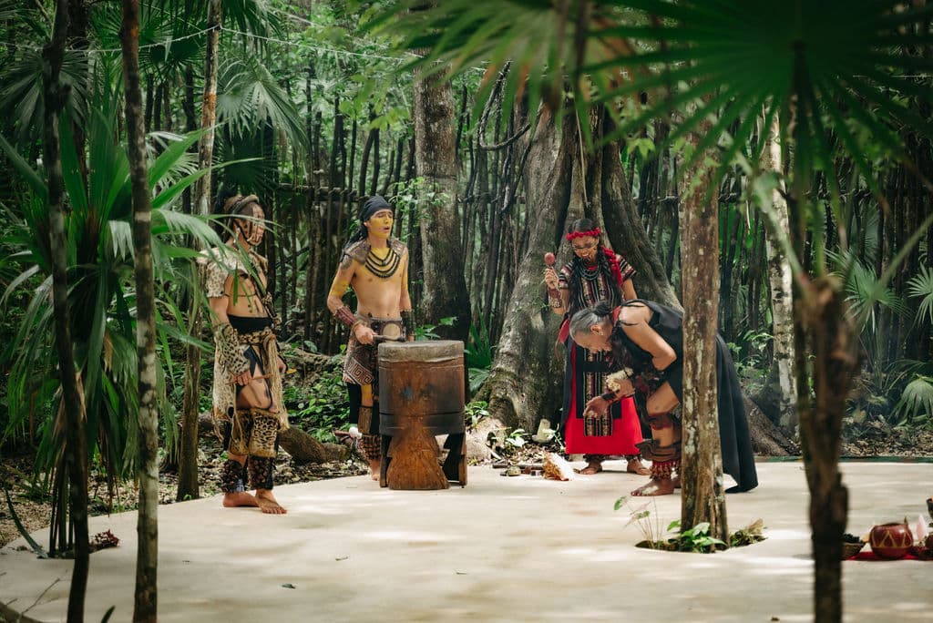 Lunita Jungle Retreat Centre - Image 6