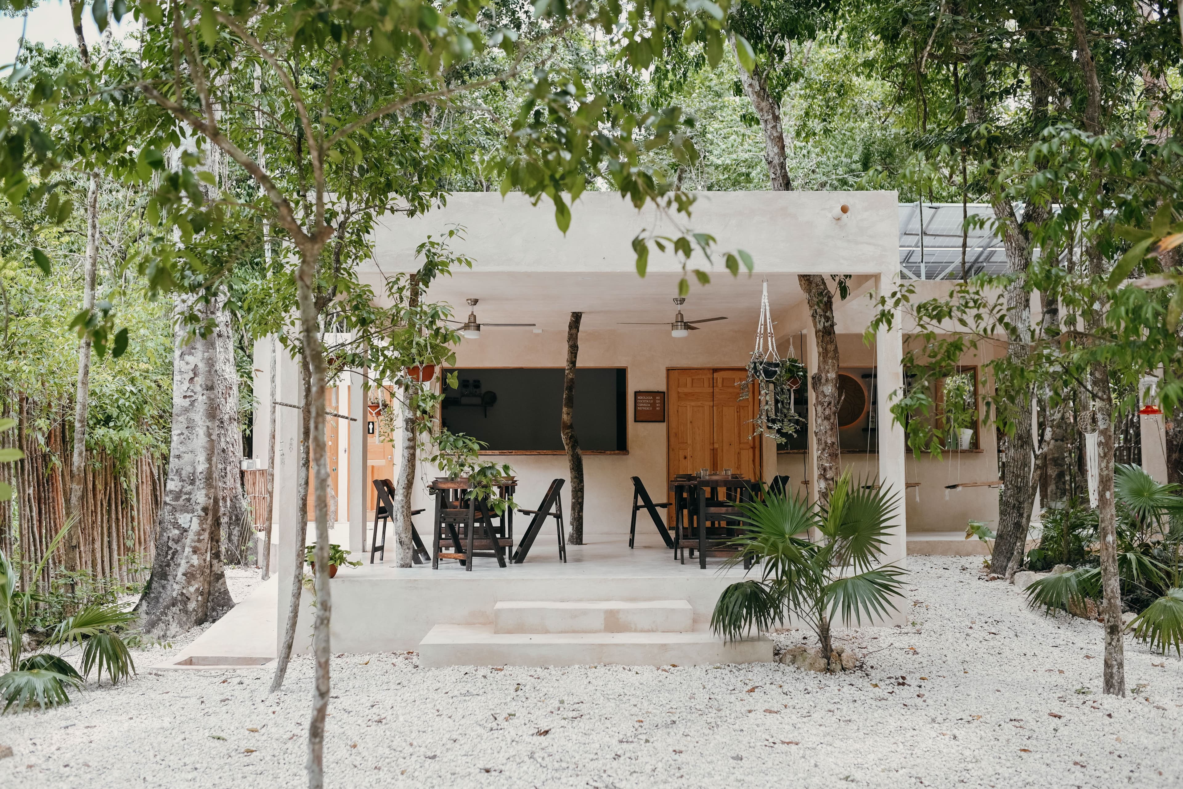 Plant-Based Cuisine - Image 9