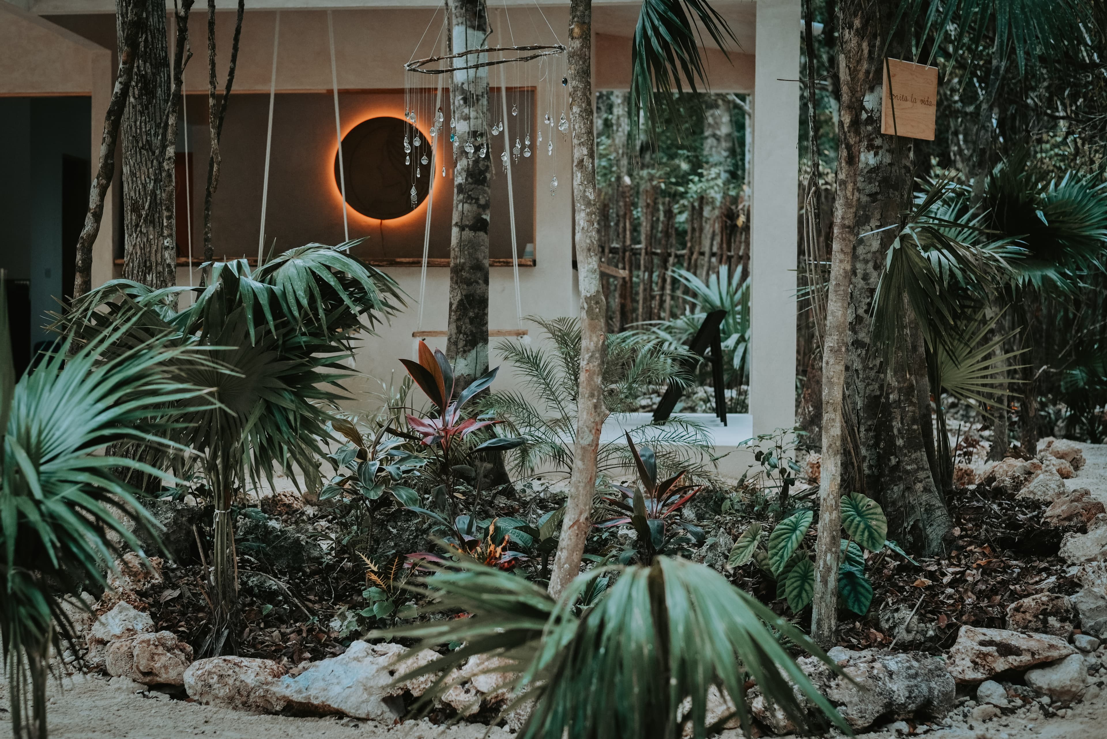 Plant-Based Cuisine - Image 12