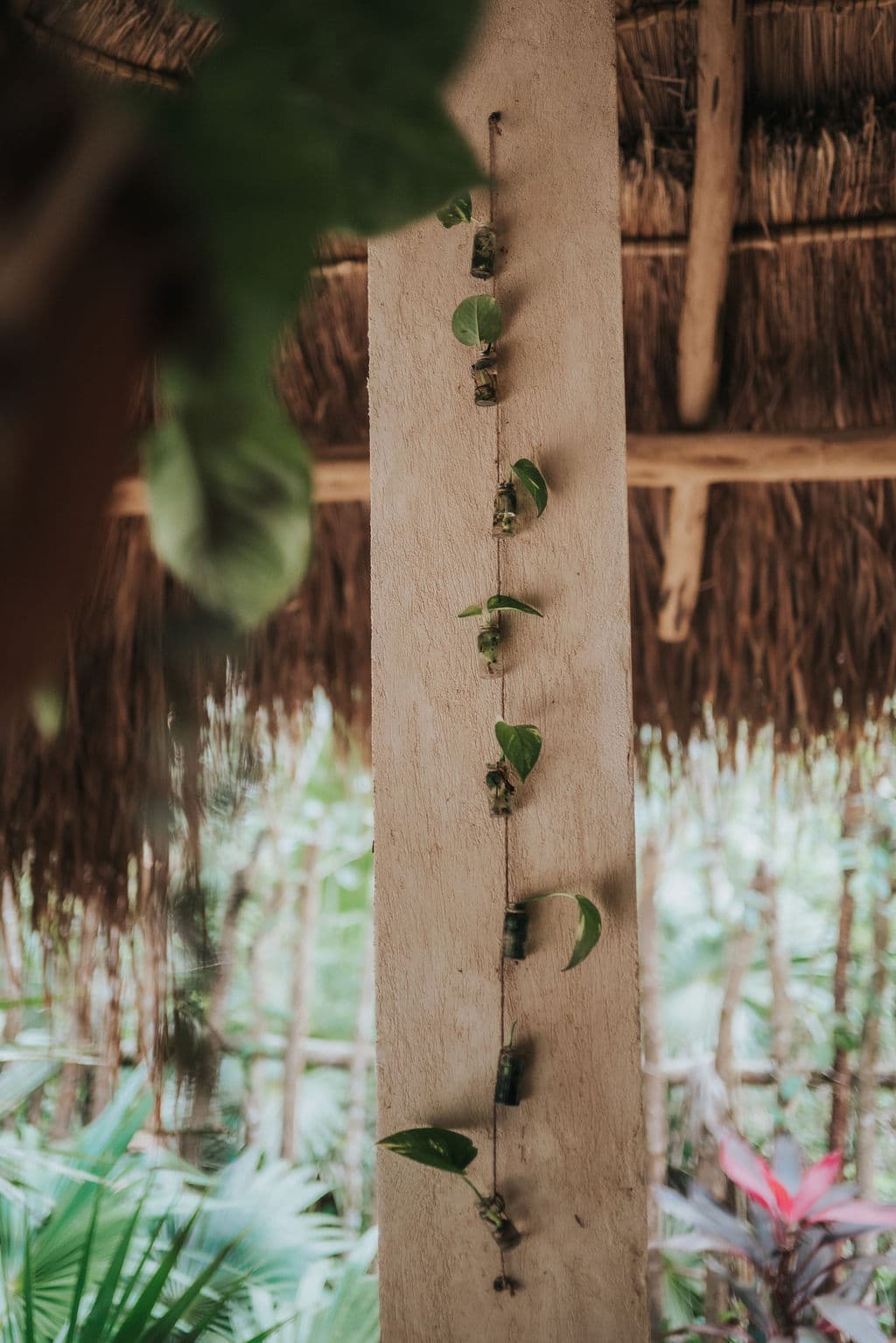 Plant-Based Cuisine - Image 24