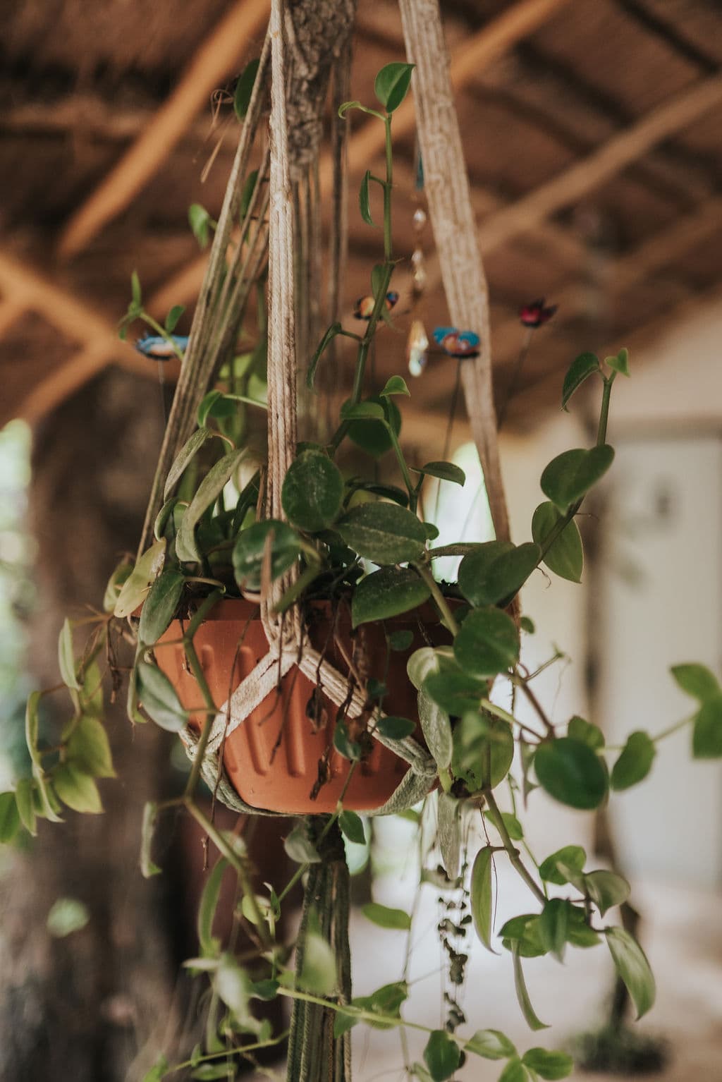 Plant-Based Cuisine - Image 25