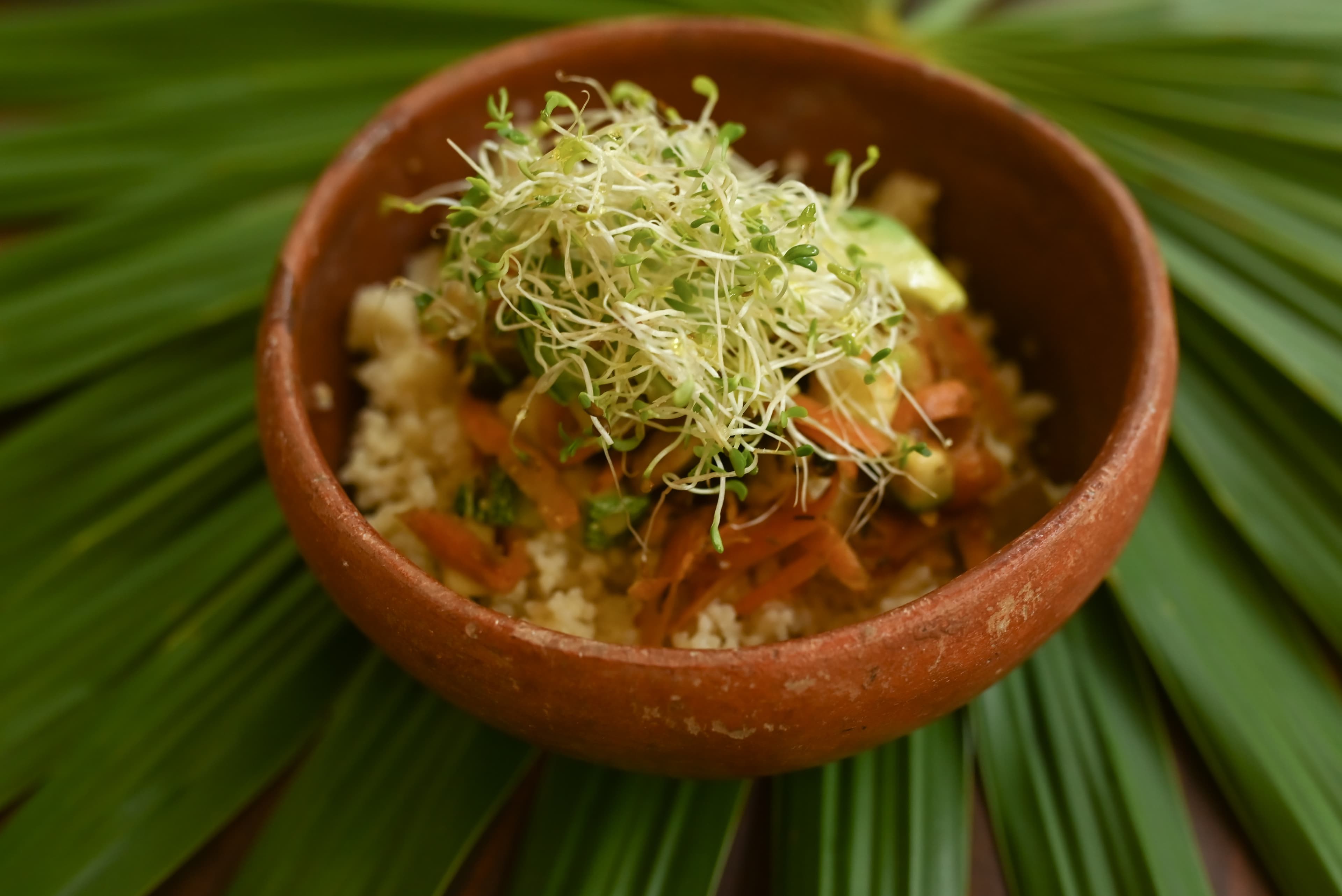 Plant-Based Cuisine - Image 11