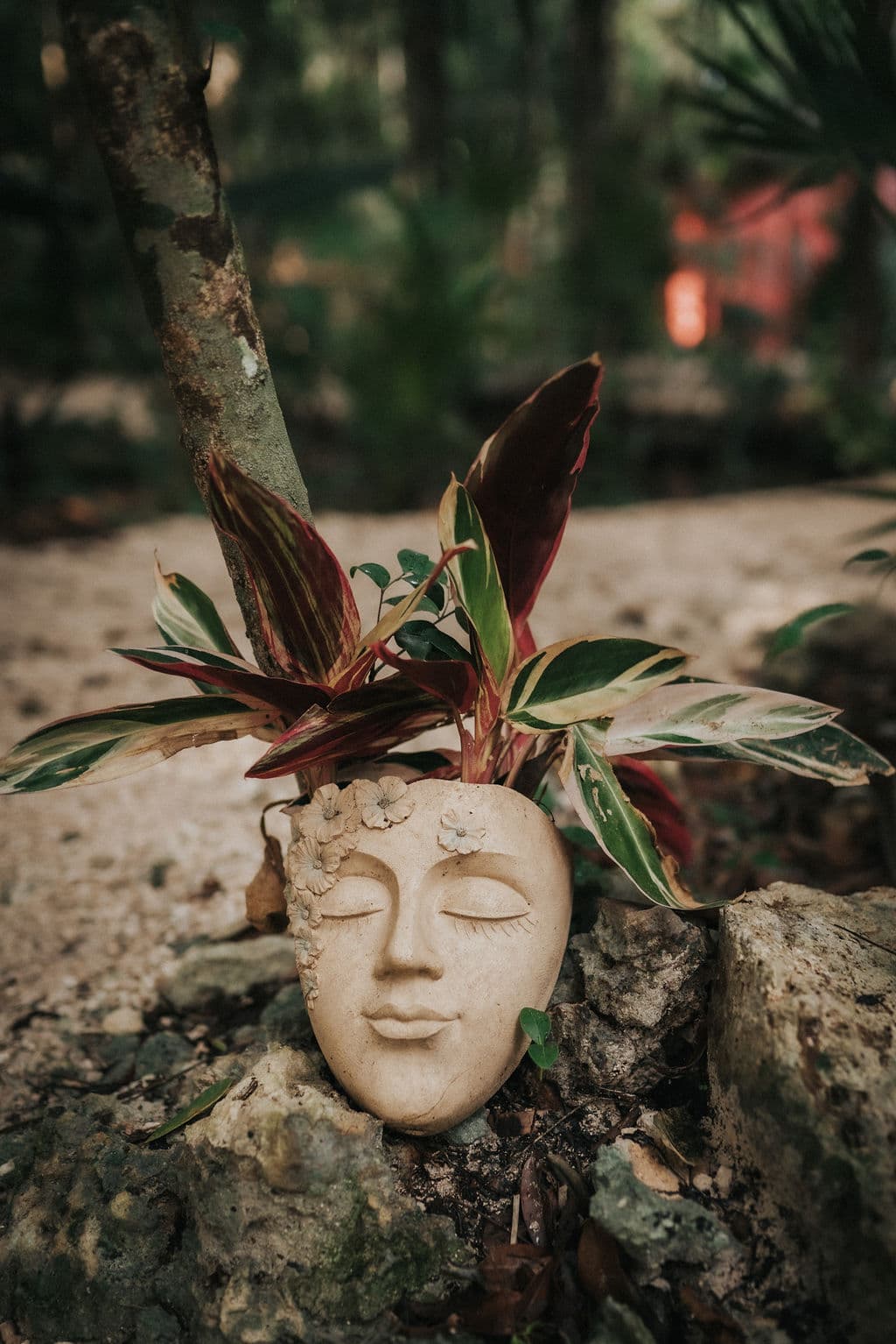 Selva Maya Goddess Retreat - 7