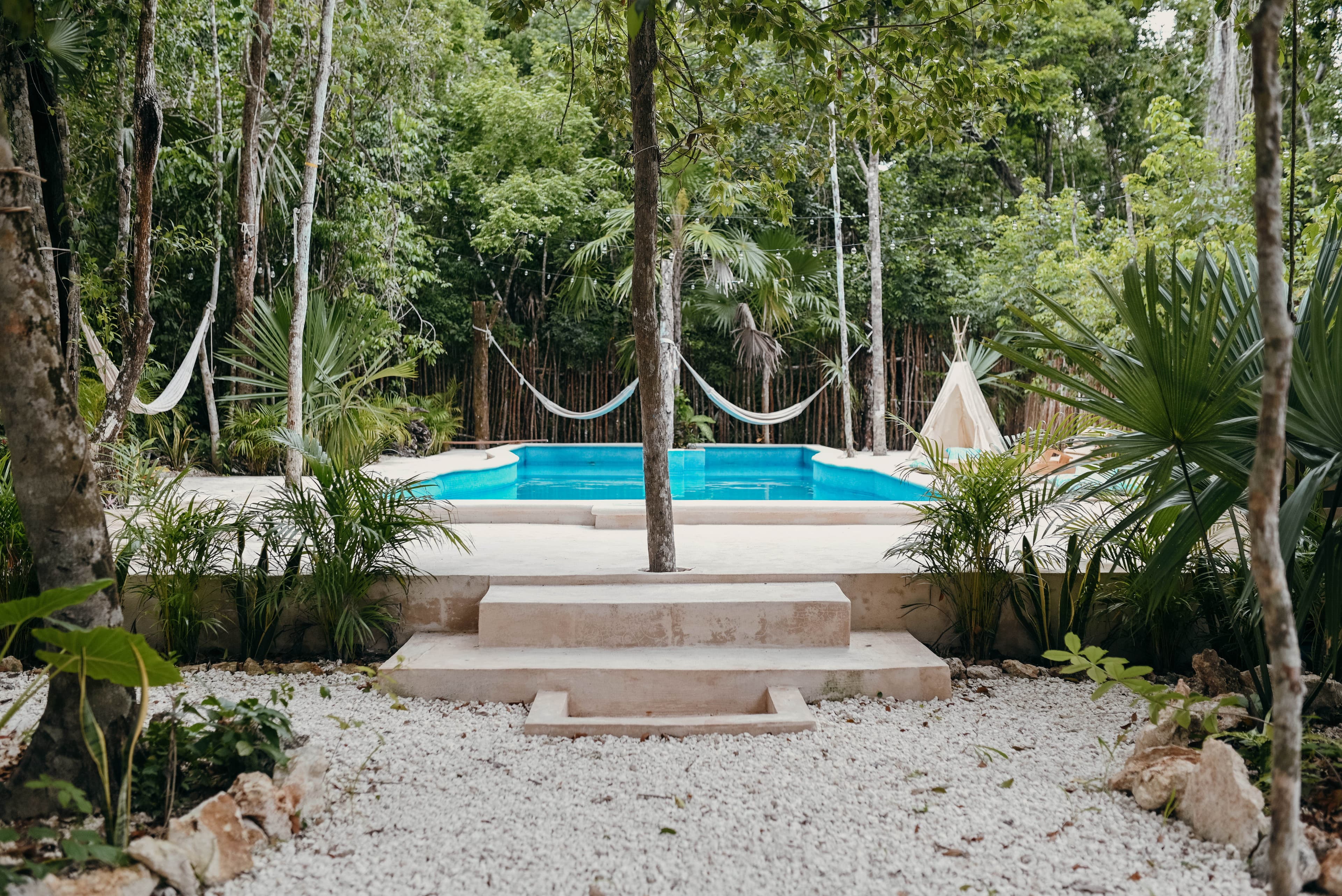 Lunita Jungle Retreat Centre - Image 4