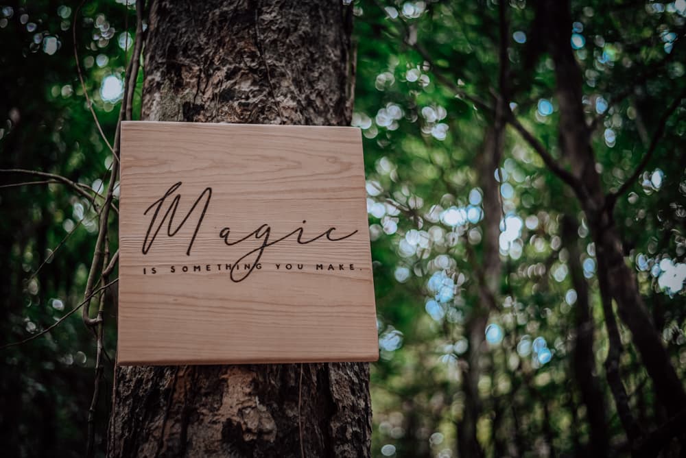 Lunita Jungle Retreat Centre - Image 7