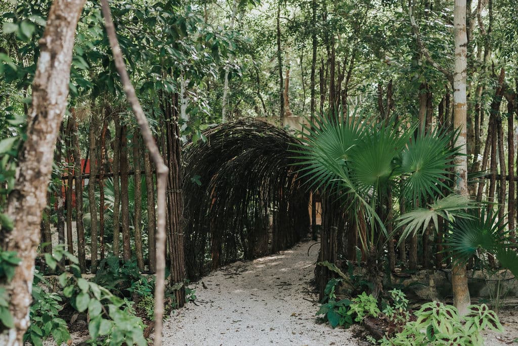 Selva Maya Goddess Retreat - 12