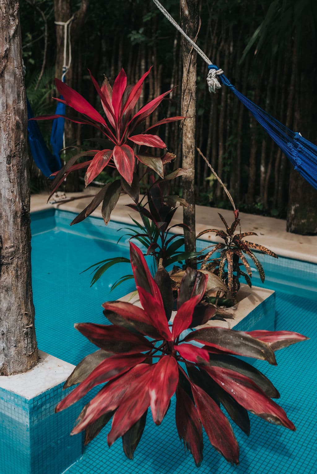 Lunita Jungle Retreat Centre - Image 9