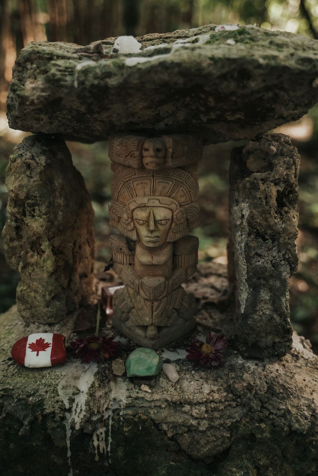 Lunita Jungle Retreat Centre - Image 11