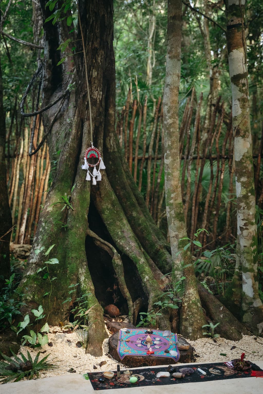 Selva Maya Goddess Retreat - 18