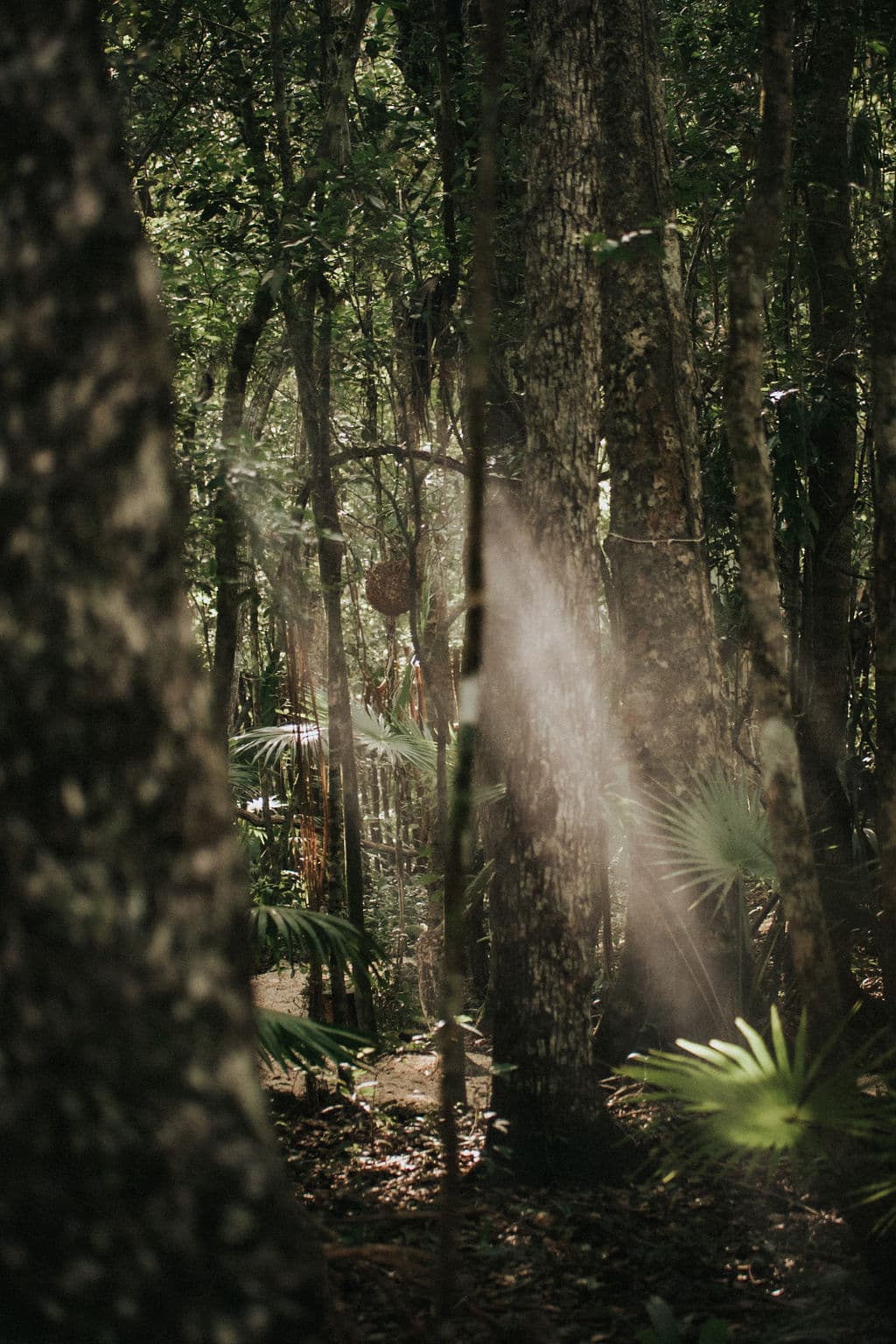 Selva Maya Goddess Retreat - 19