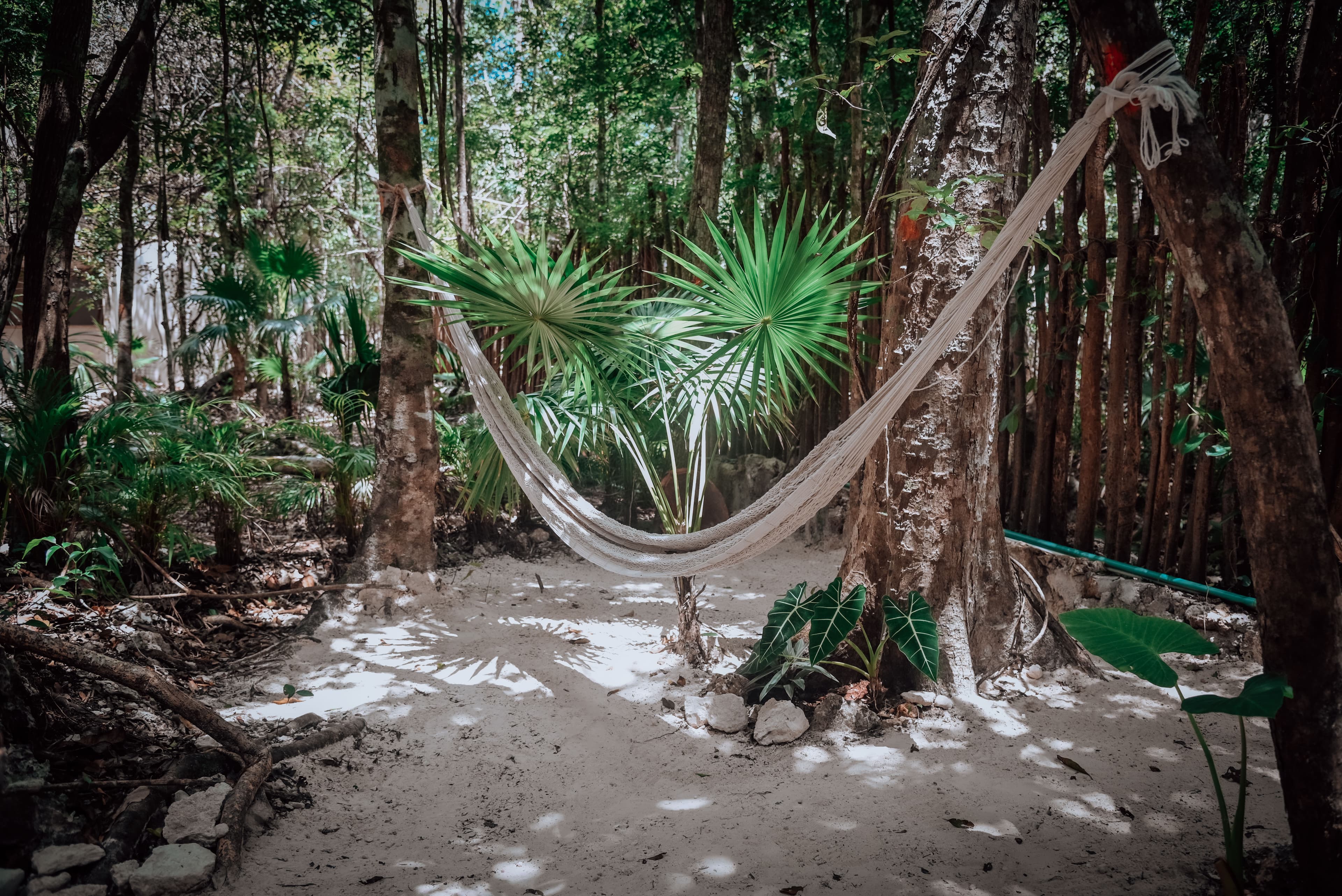 Goddess Queen - Image 4