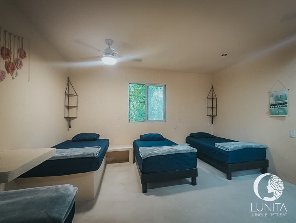 Elemental Sisters Quartet - Image 4