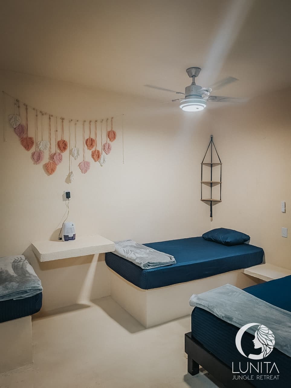 Elemental Sisters Quartet - Image 7