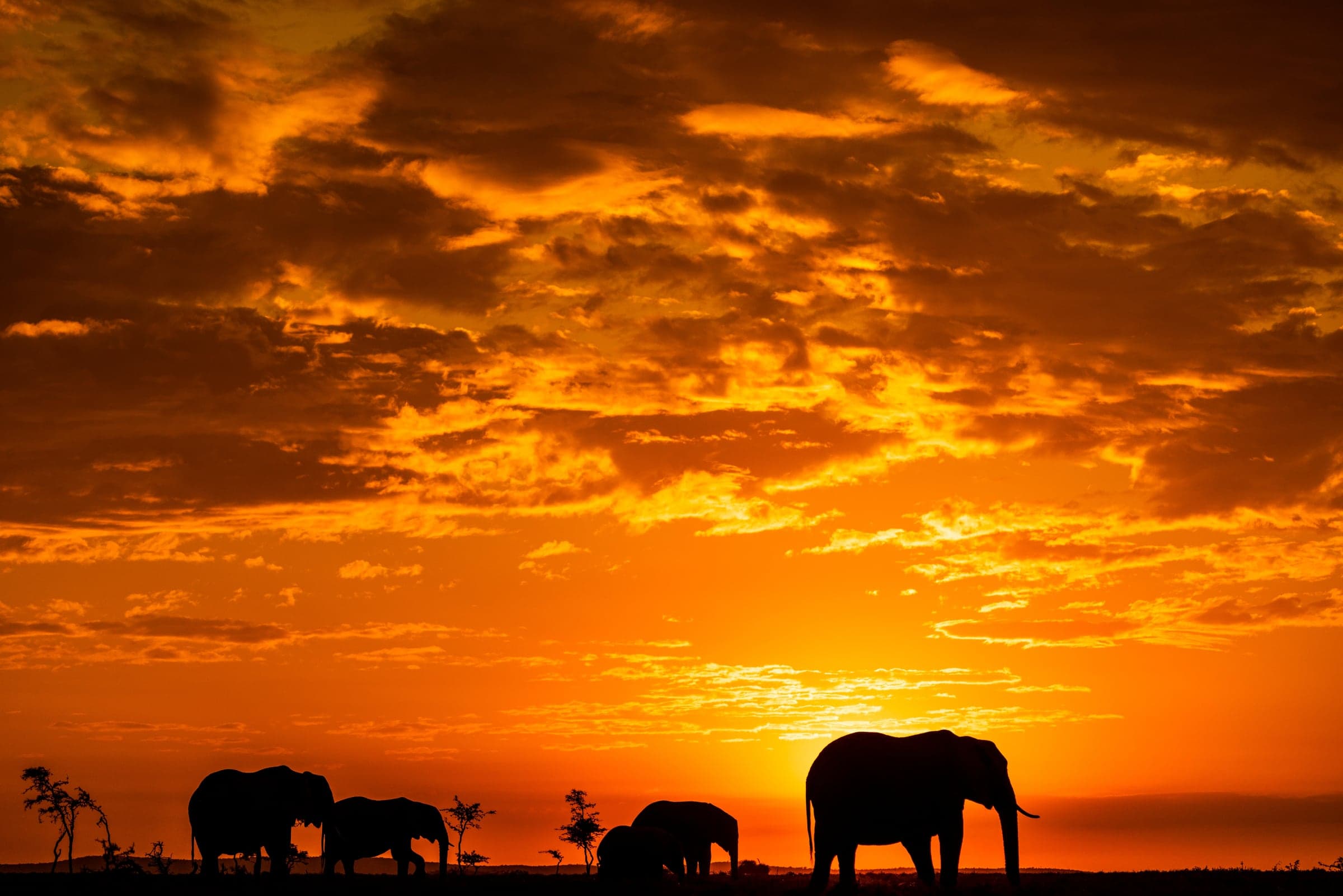 Kenya Sea & Safari - 1