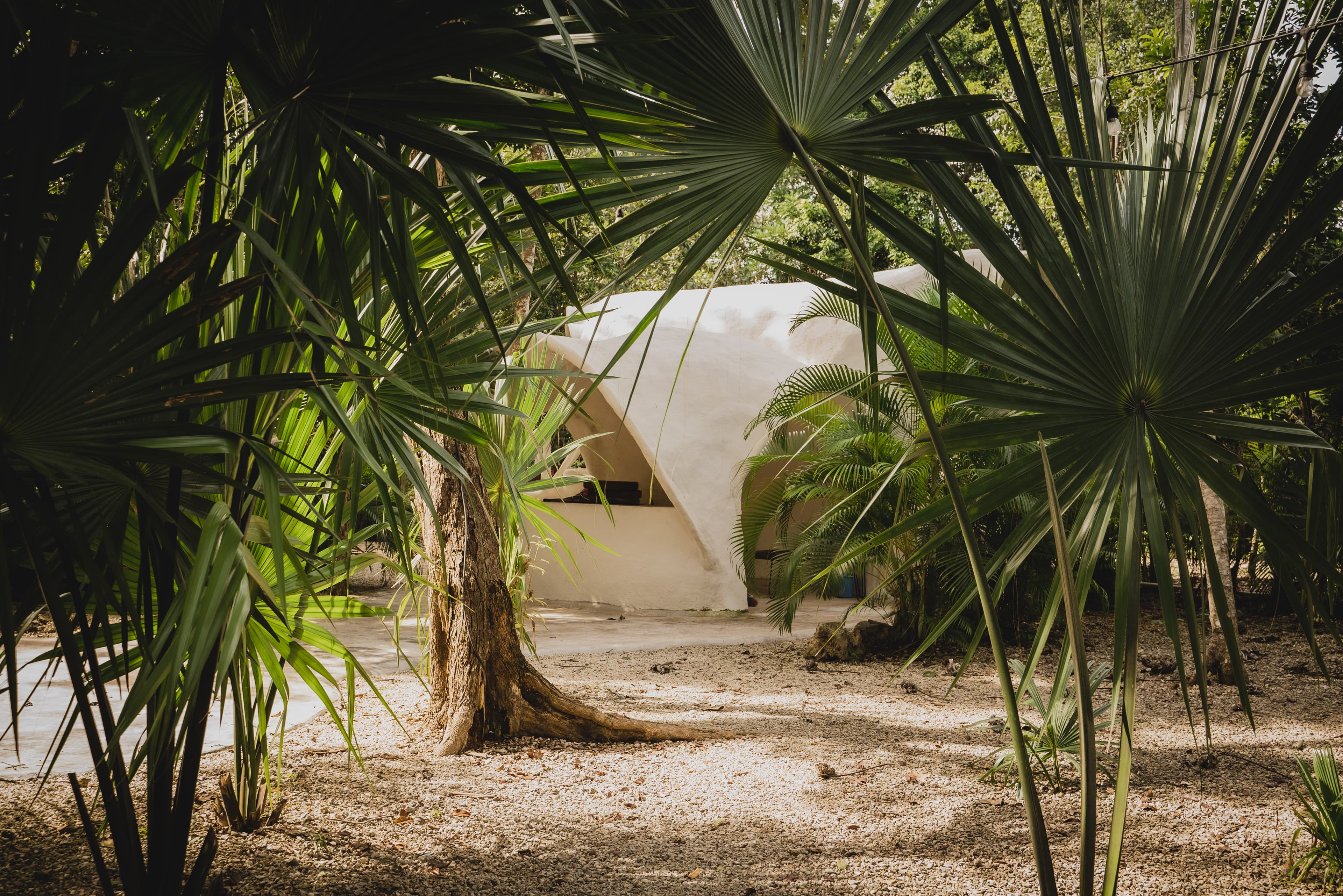 Selva Maya Goddess Retreat - 4