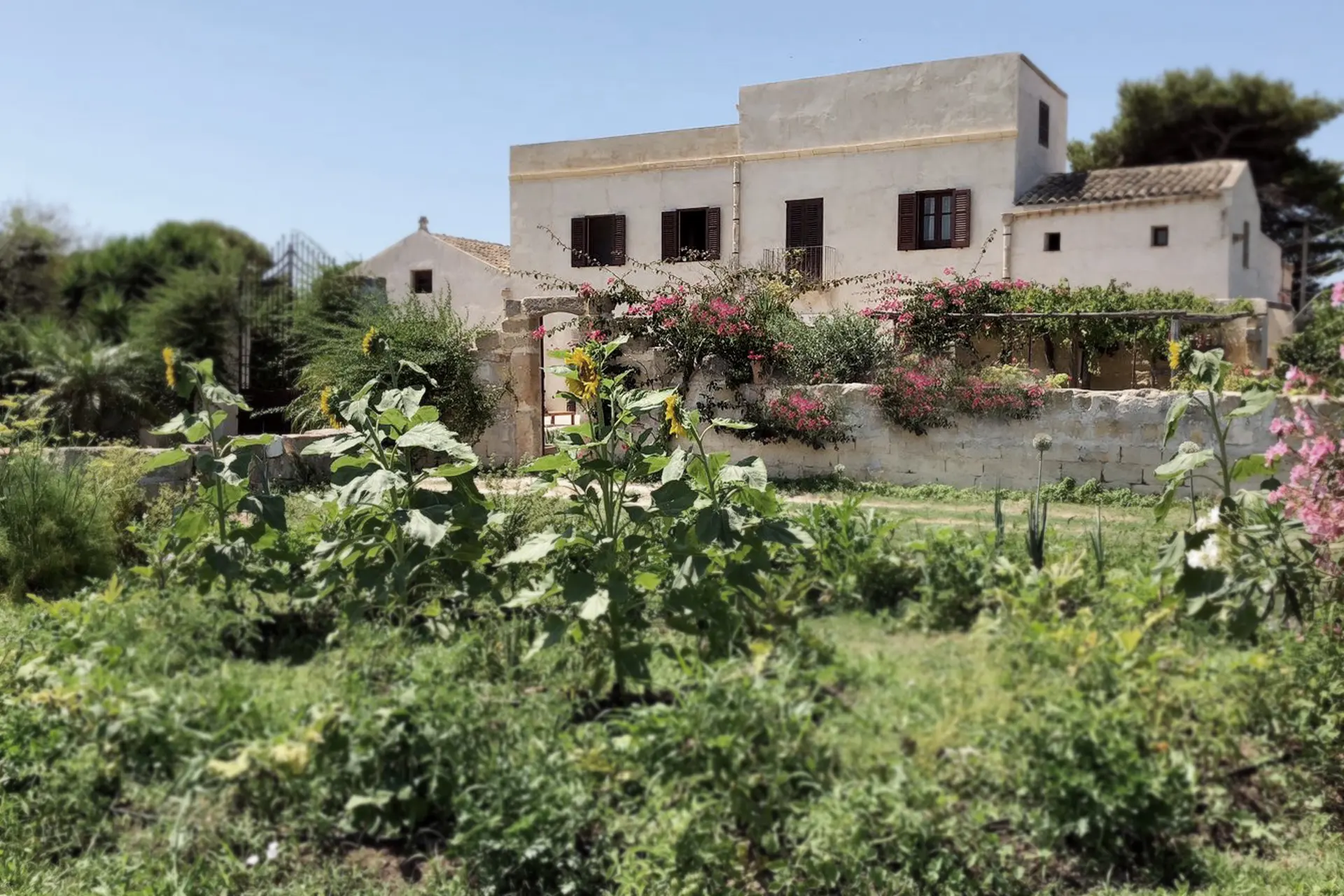 Salinara Retreat Centre grounds, gardens, vineyard paths, and yoga shala - Image 2